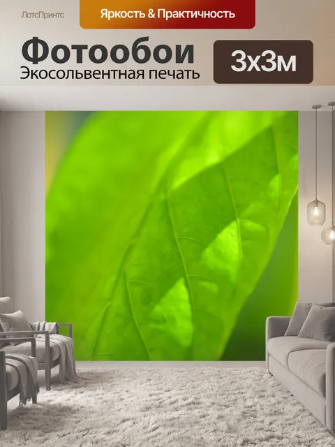 Фотообои Лист