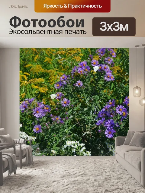 Фотообои Цветы