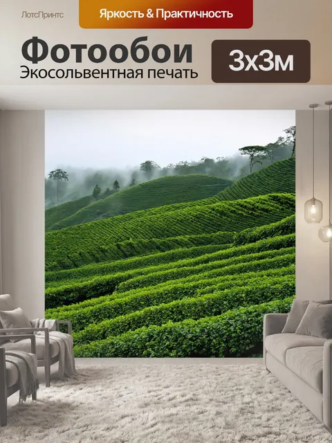 Фотообои туман в стиле узоров, чайные плантации, покрытые нежным туманом и витковыми узорами