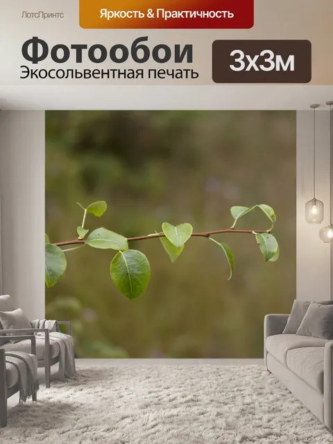 Фотообои Лес