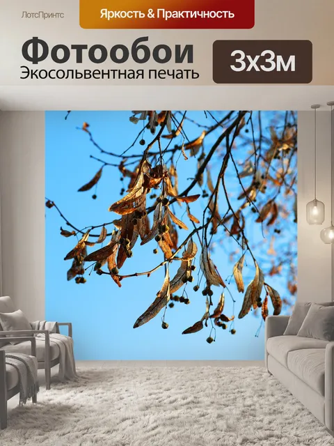 Фотообои Клен