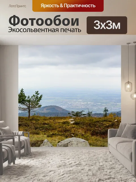 Фотообои Черный лес
