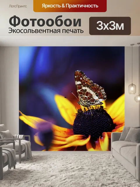 Фотообои Бабочка