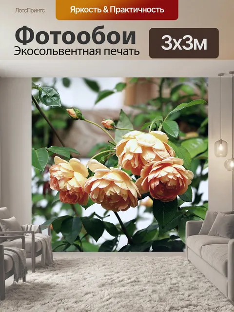 Фотообои Розы