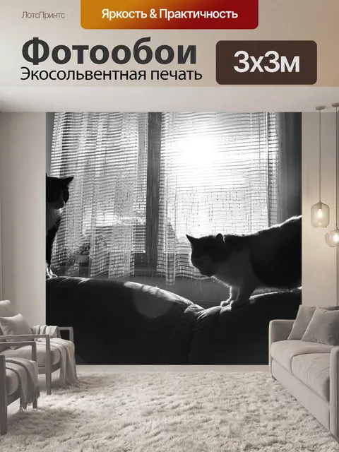 Фотообои Кошки