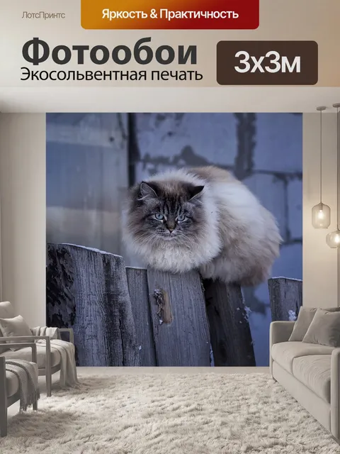Фотообои Забор