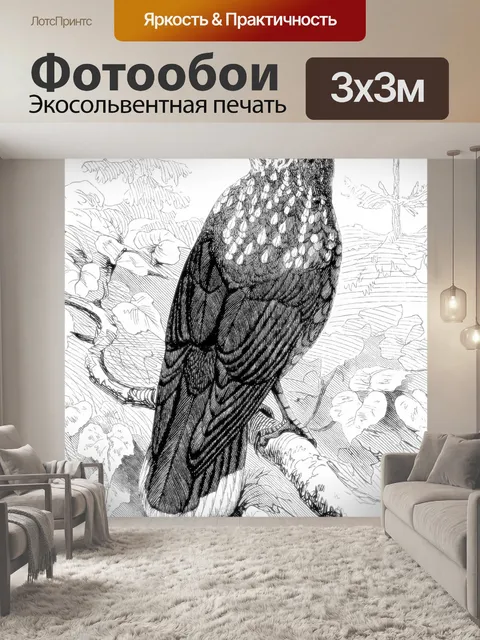 Фотообои Щелкунчик