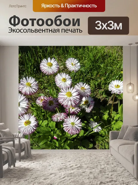 Фотообои Цветы