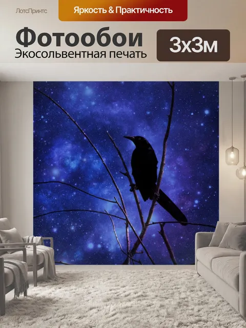 Фотообои Галактика Черного Птицы