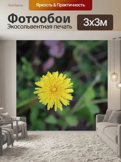 Фотообои Одуванчик
