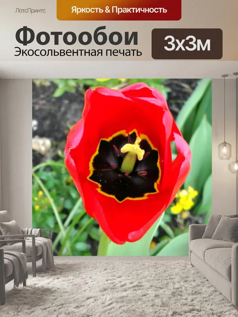 Фотообои Весна тюльпана