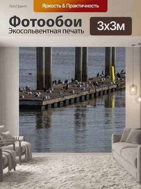 Фотообои Птицы на пирсе