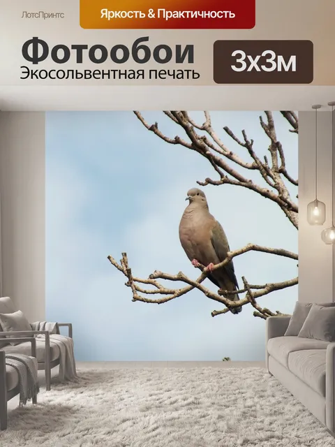Фотообои Птица