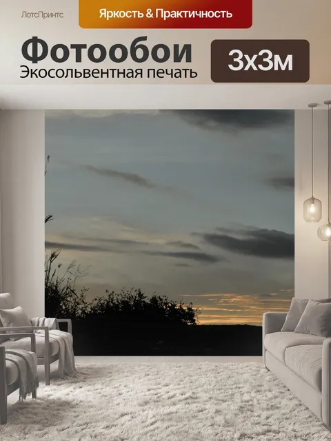 Фотообои Собака