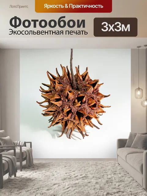 Фотообои Фрукты