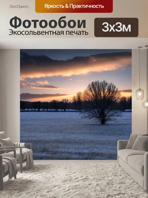 Фотообои запустевшее поле под снегом
