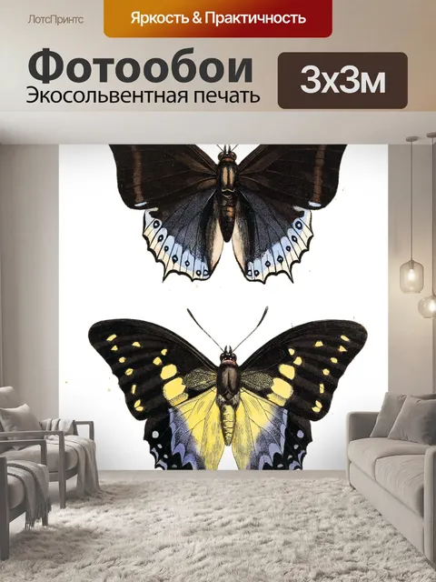 Фотообои Бабочка мотылек винтажное искусство