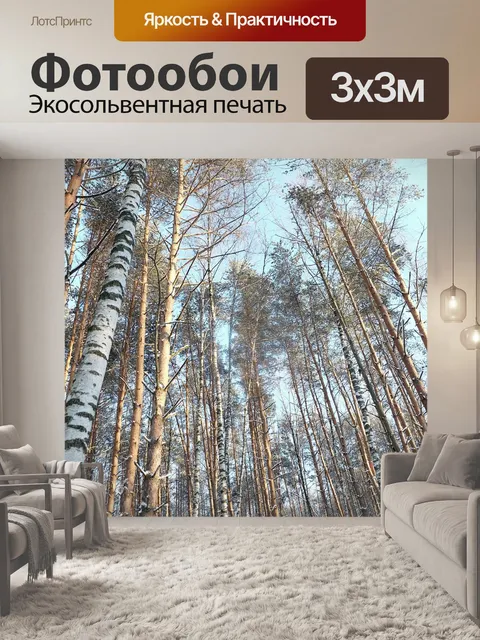 Фотообои Высота