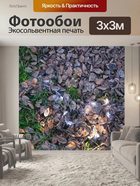 Фотообои сухие листья на траве и пух