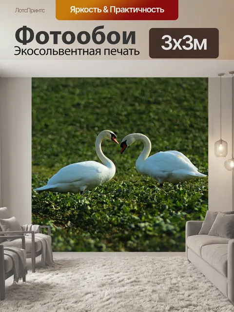 Фотообои Лебеди