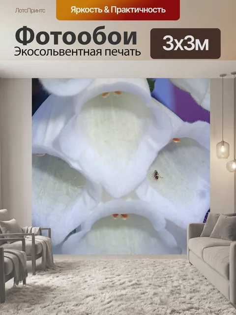 Фотообои Наперстянка