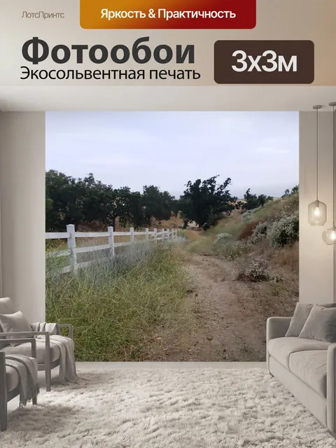 Фотообои Грязевая прогулочная дорожка