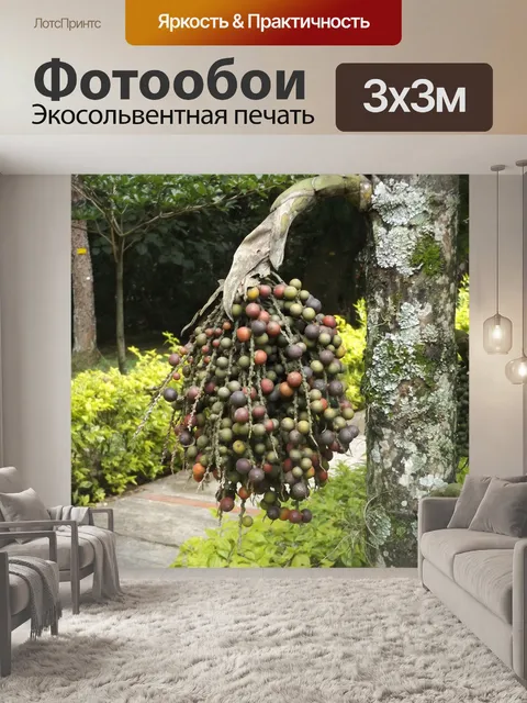 Фотообои Фрукты