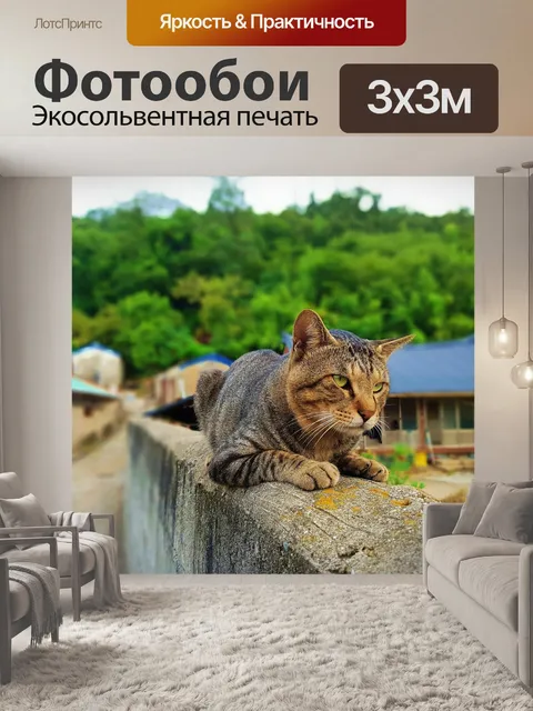 Фотообои Кошка
