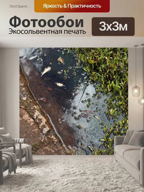 Фотообои вода в канаве с растительностью
