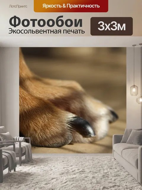 Фотообои Собака
