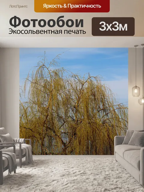 Фотообои Плакучая ива
