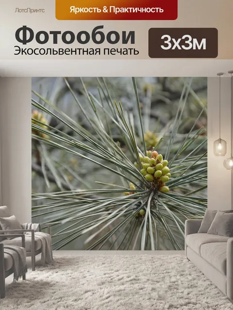 Фотообои Сосна