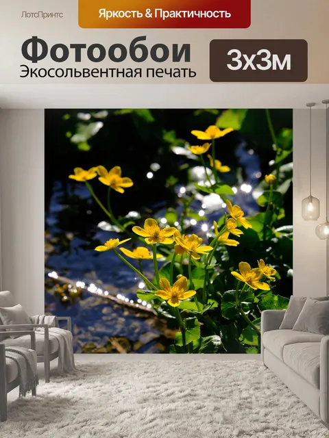 Фотообои Бархатцы болотные