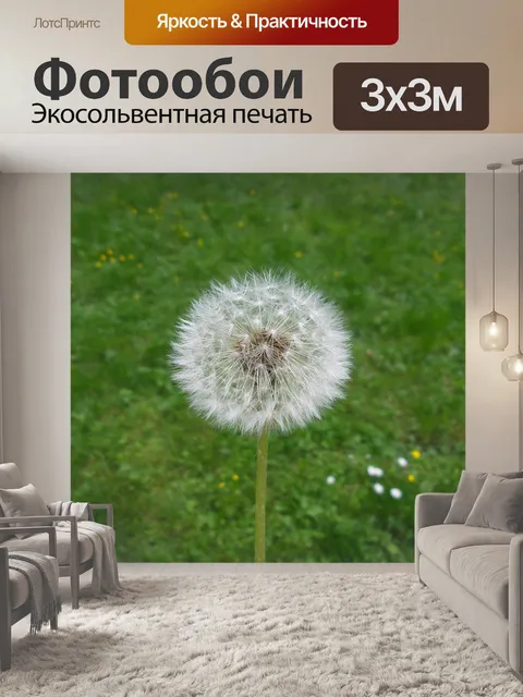 Фотообои Одуванчик