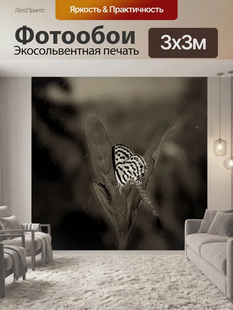 Фотообои Бабочка