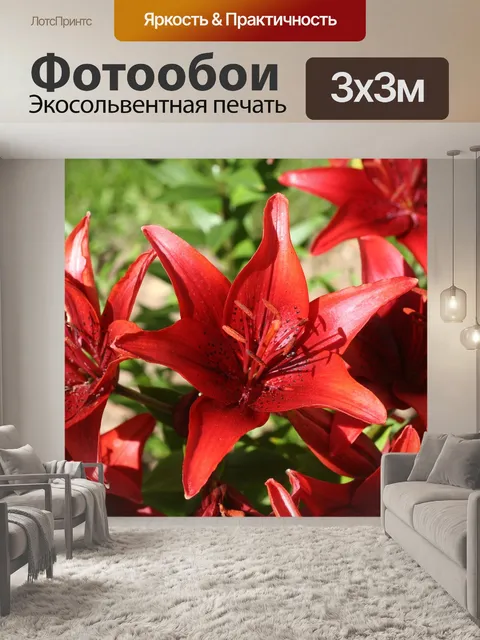 Фотообои Цветы