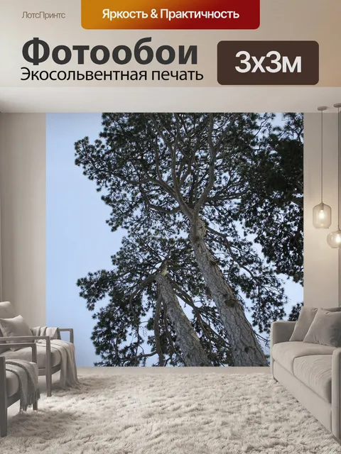Фотообои Челюсть
