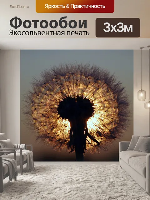 Фотообои Одуванчик