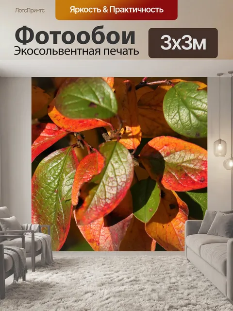 Фотообои Цвета