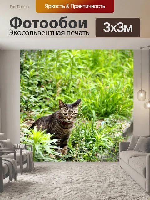 Фотообои Кошка