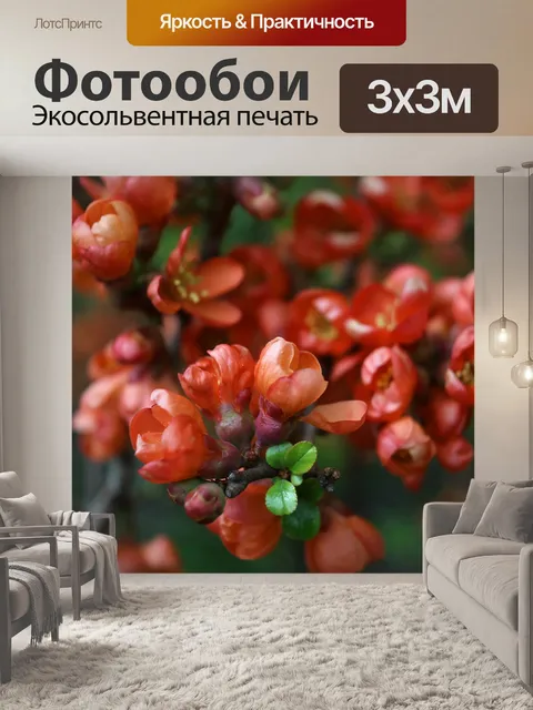 Фотообои Весна