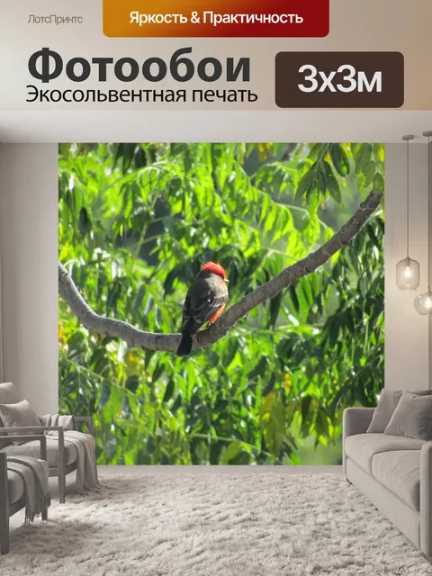 Фотообои Птица