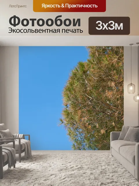Фотообои Природа