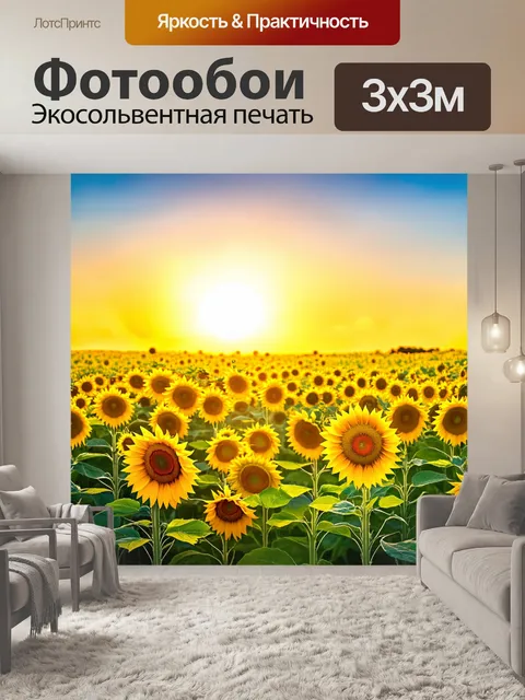 Фотообои летний закат над обширным полем из золотых подсолнухов