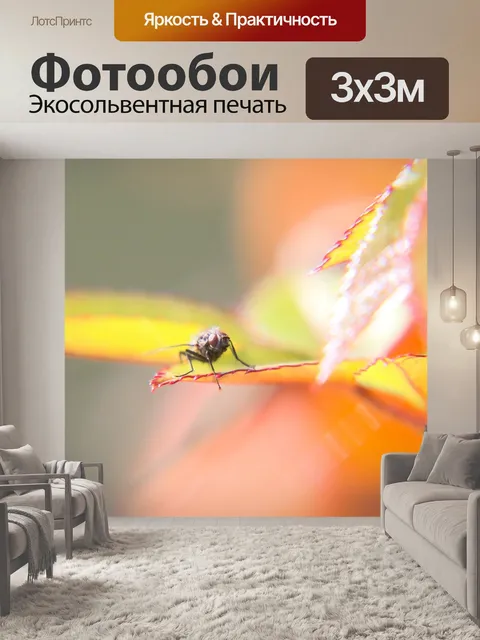Фотообои Летать