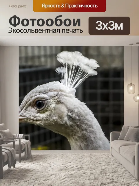 Фотообои Павлин