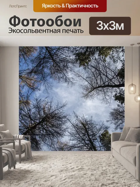 Фотообои Деревья без листьев