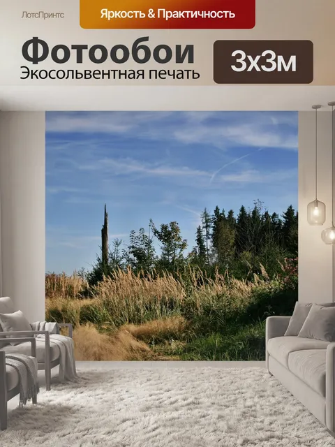 Фотообои Лес