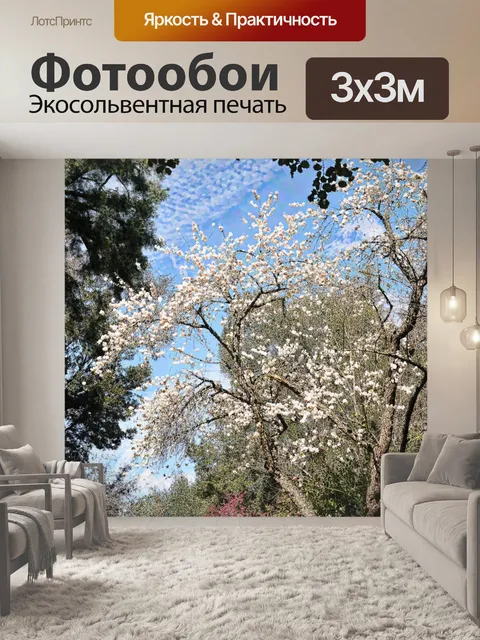 Фотообои Белое дерево цветущей груши