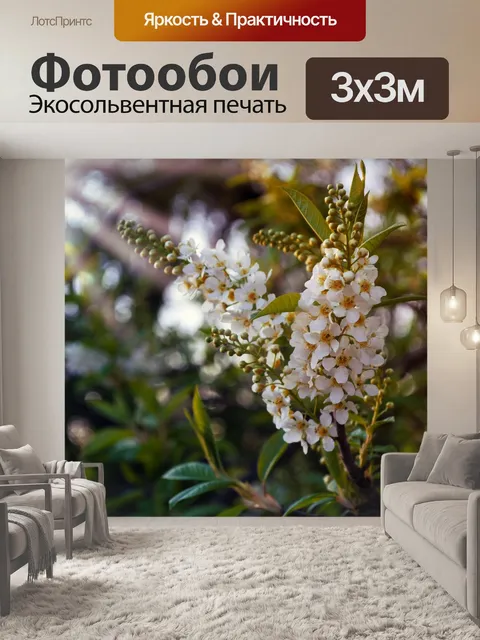 Фотообои Красивая весенняя фоне ч